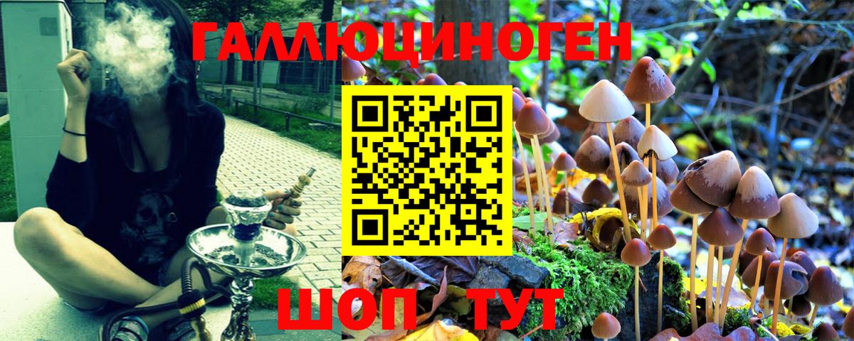 Псилоцибиновые грибы MAGIC MUSHROOMS Воткинск